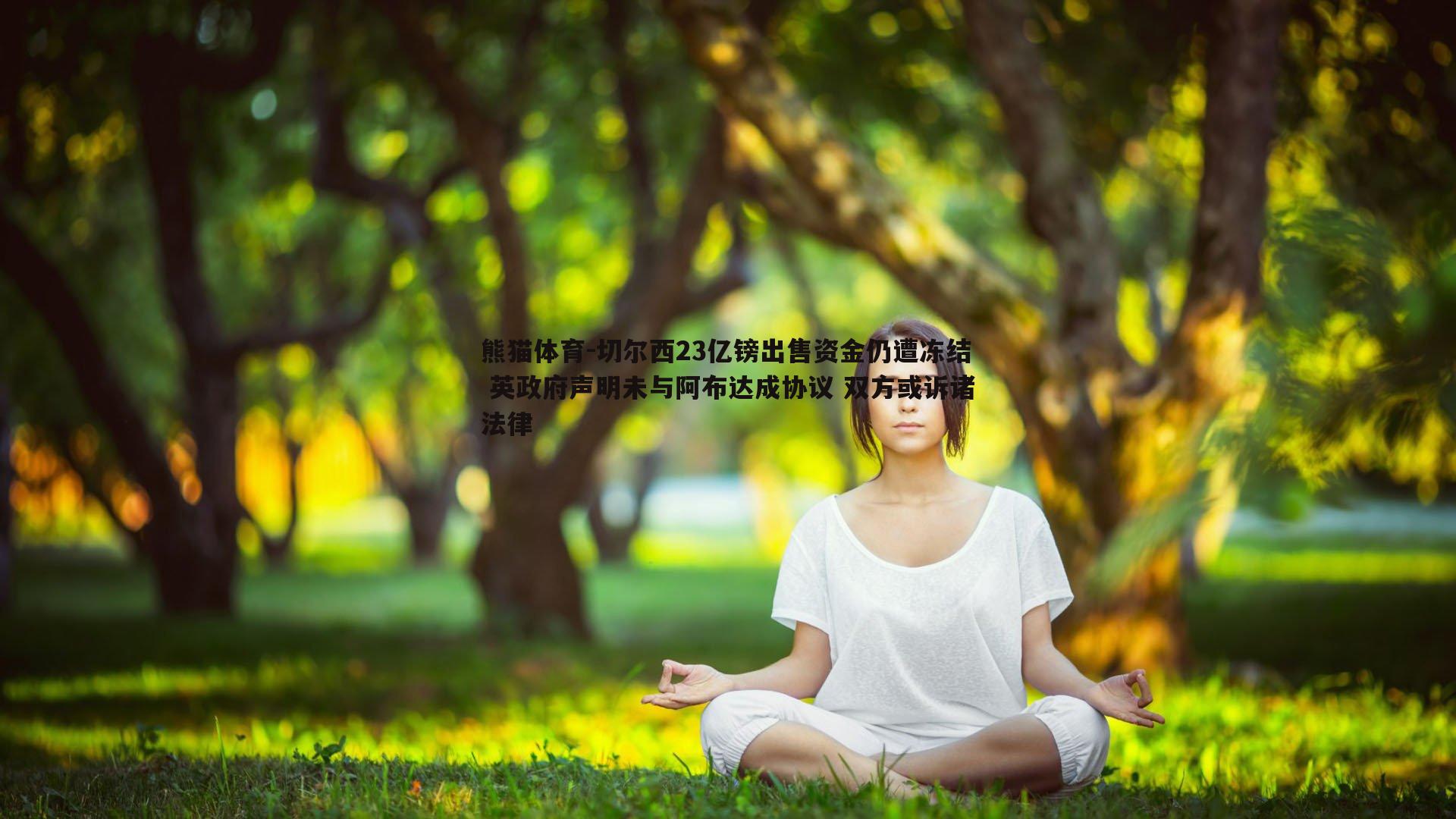 切尔西23亿镑出售资金仍遭冻结 英政府声明未与阿布达成协议 双方或诉诸法律