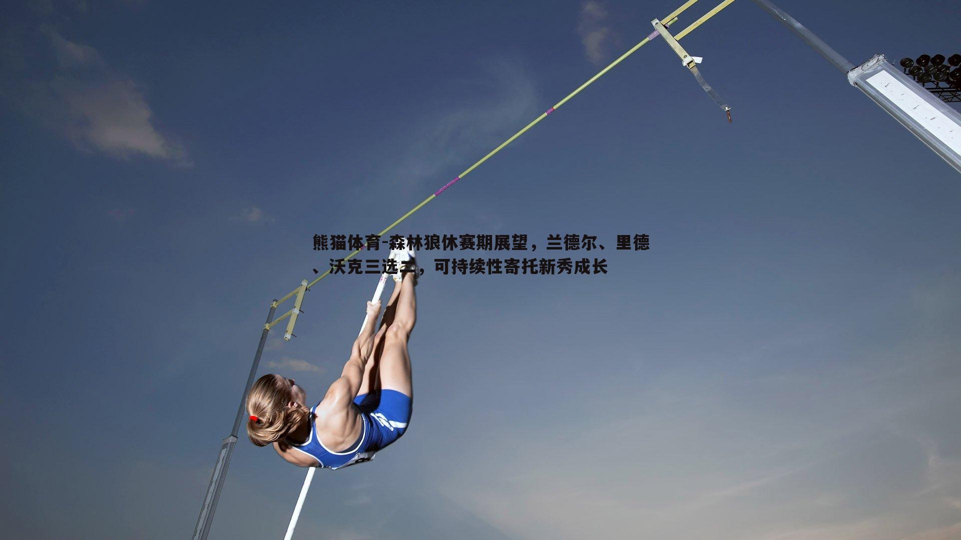 森林狼休赛期展望，兰德尔、里德、沃克三选二，可持续性寄托新秀成长